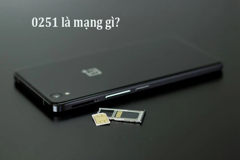 0251 là mạng gì? Ý nghĩa của đầu số, nên sử dụng hay không?