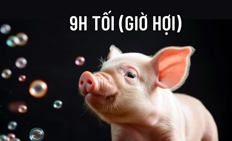 vận mệnh người sinh 21h