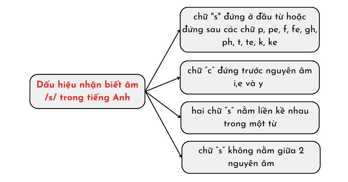 Cách phát âm /s/ và /z/ - Các dấu hiệu & Bài tập vận dụng kèm Audio
