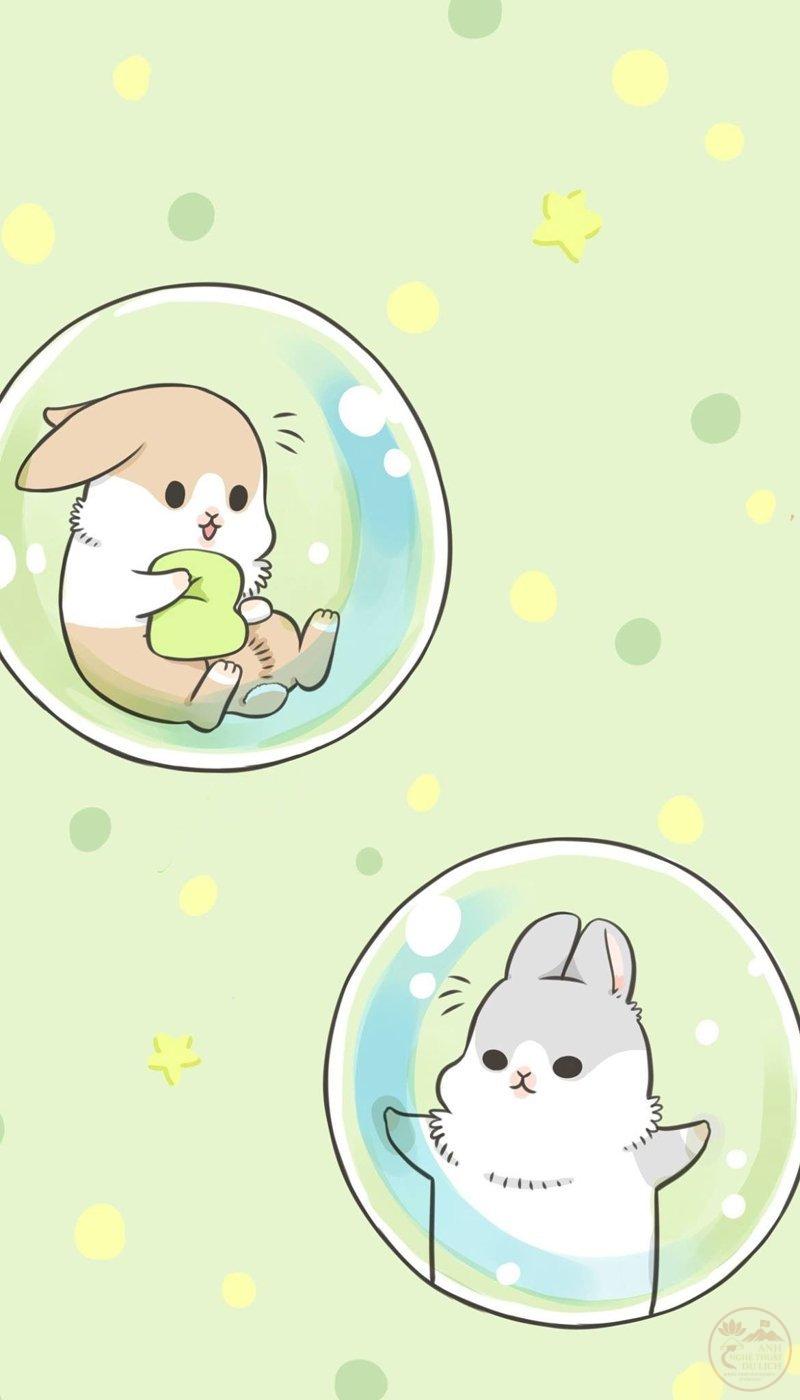 Thỏ anime lãng mạn