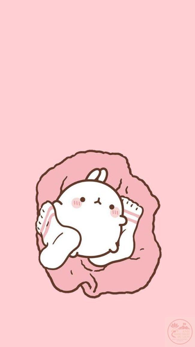 Thỏ anime tinh tế
