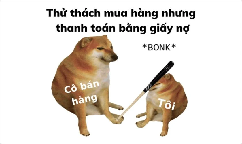 Hình ảnh chó biểu cảm vô tri, vui nhộn nhất