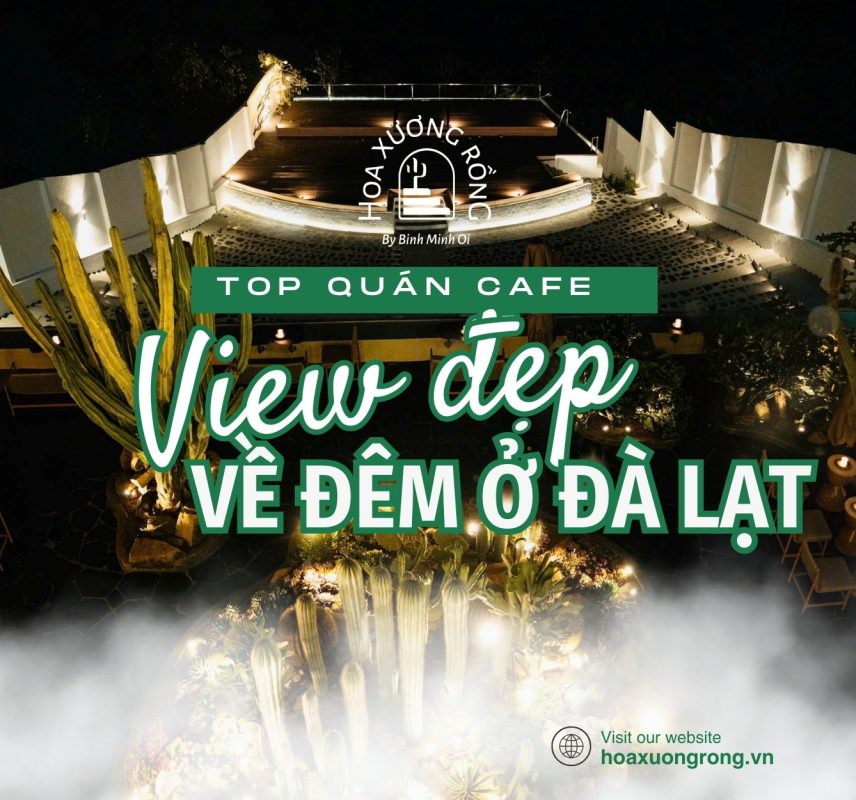 Tin tức