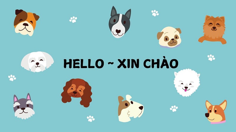 Nền slide hello xin chào