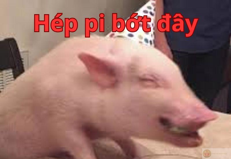 Happy Birthday meme