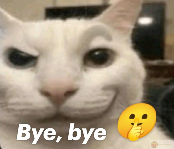 Ảnh meme tạm biệt dễ thương khiến lời chào trở nên đáng nhớ hơn