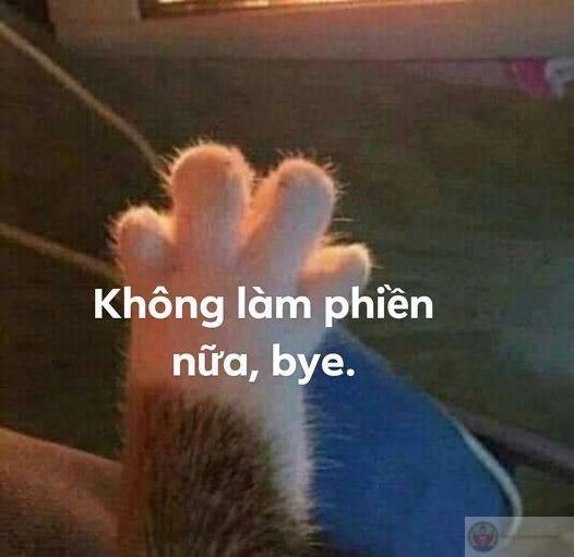 Meme tạm biệt hài giúp mọi người thư giãn sau một ngày dài mệt mỏi