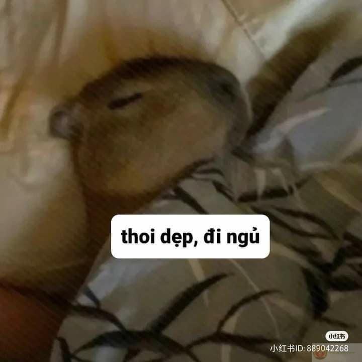 Meme tạm biệt đồng chí mang tính chất hài hước nhưng vẫn đầy thân thiện