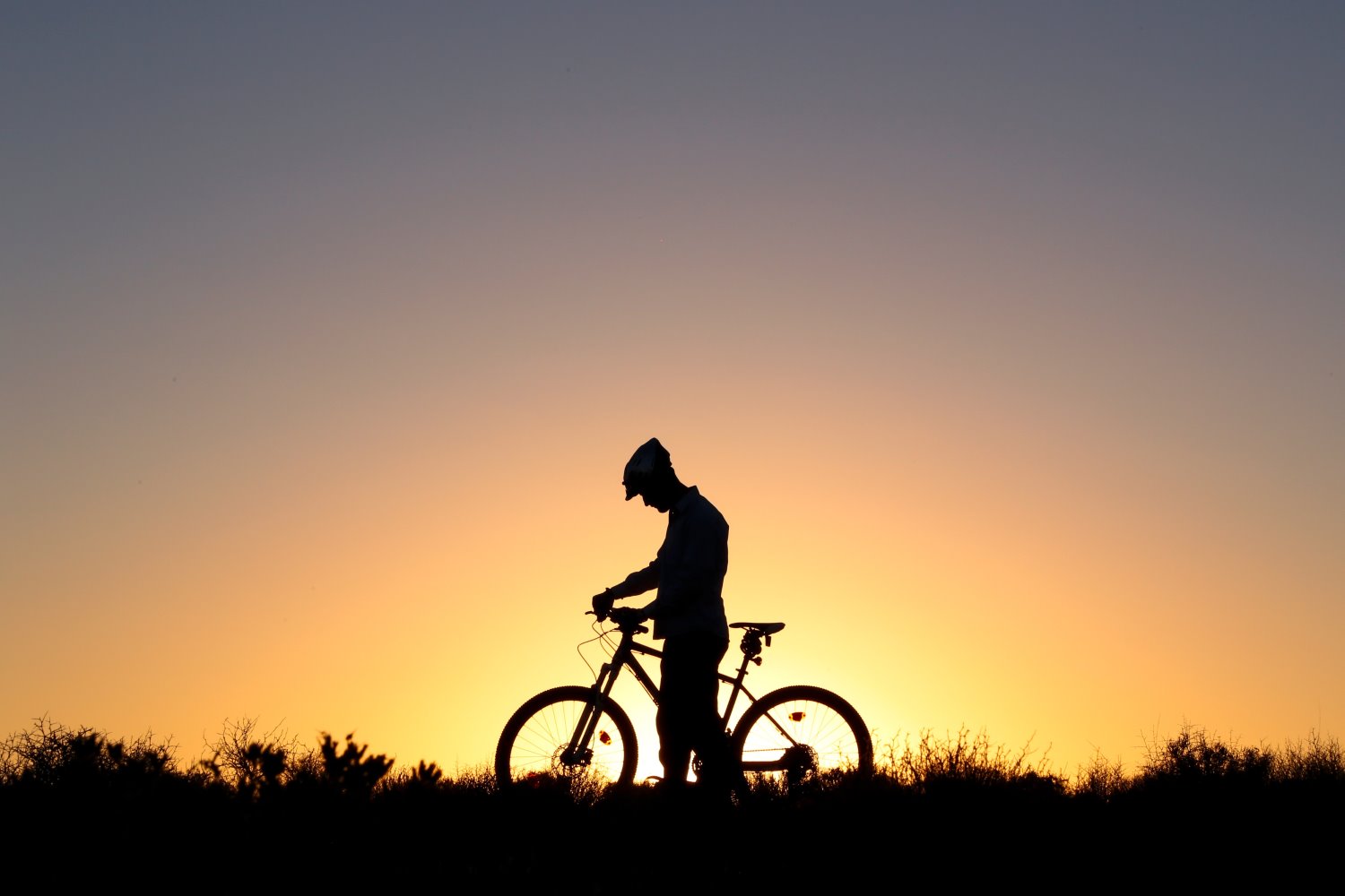 Chọn chủ thể mạnh để chụp ảnh bóng - Silhouette Photography