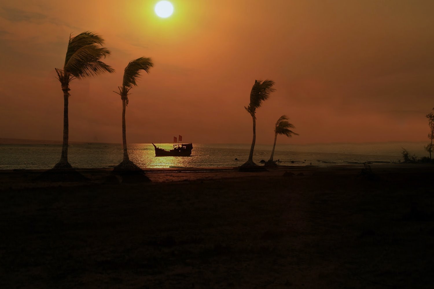 Làm nổi bật đối tượng khi chụp ảnh bóng - Silhouette Photography
