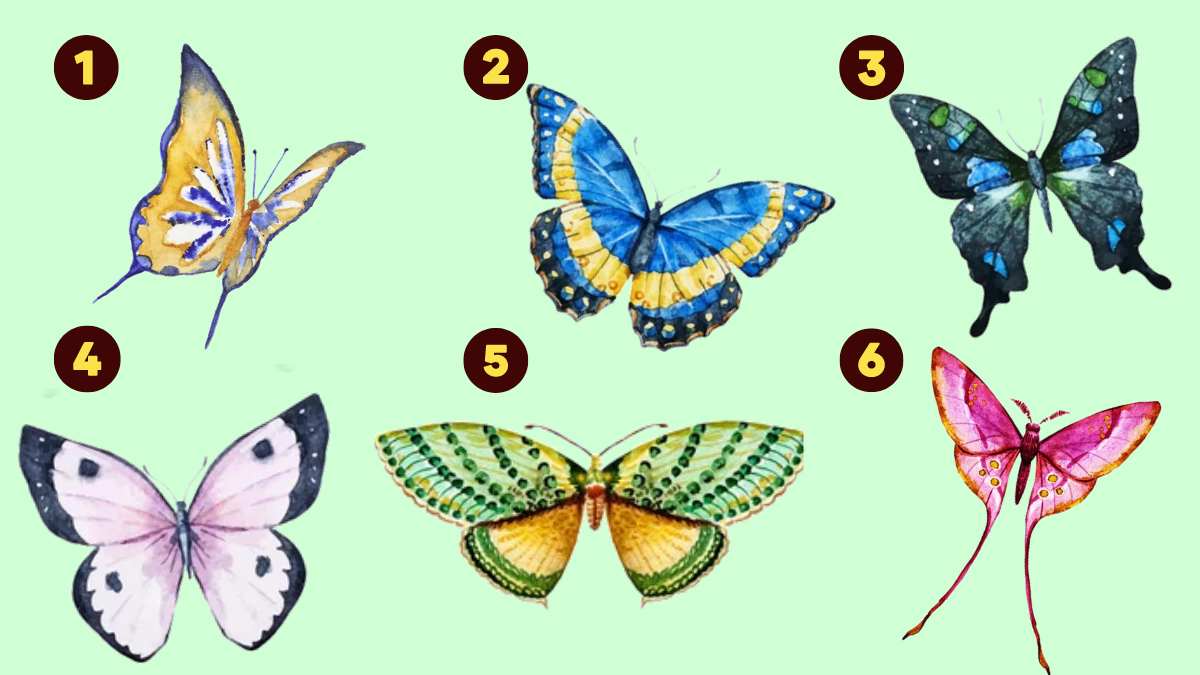 Trắc nghiệm: Hình ảnh cánh bướm bạn chọn tiết lộ ưu điểm lớn nhất của bạn
