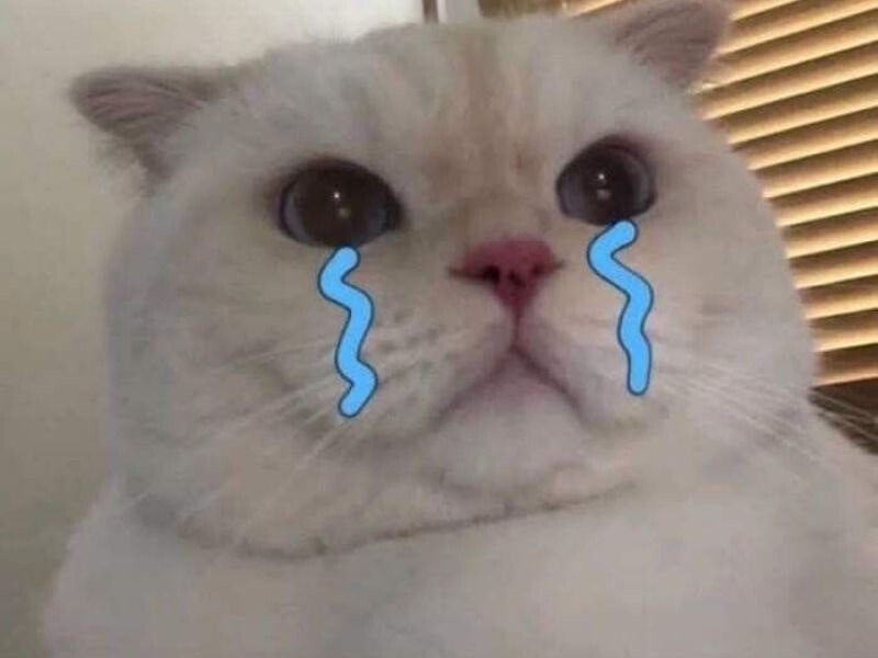 Các trường hợp sử dụng meme mèo khóc