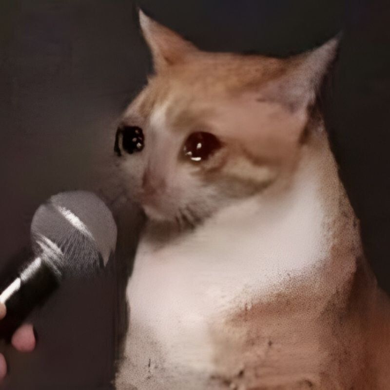 Mèo khóc slay