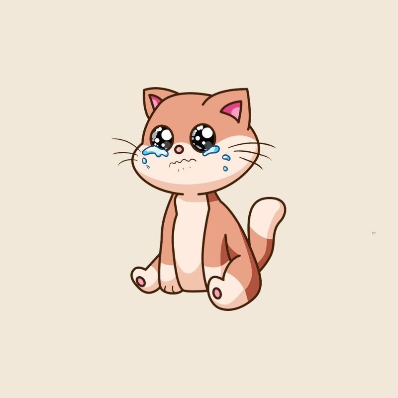 Mèo dỗi