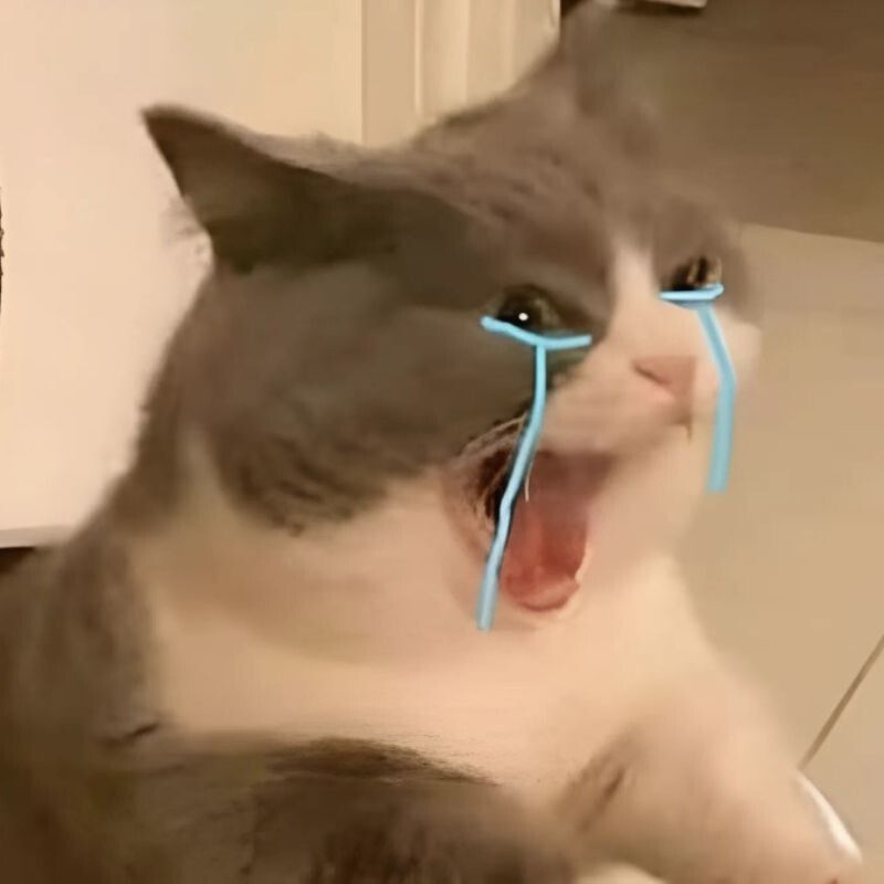 Mèo khóc cười