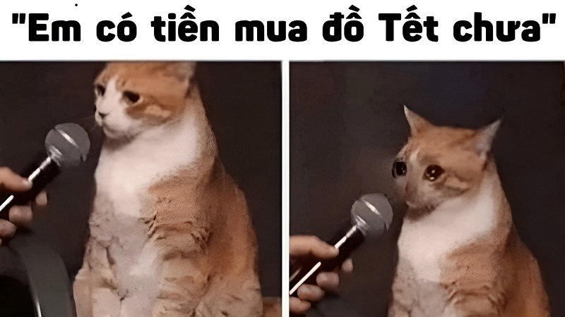 Meme về dịp Tết khác