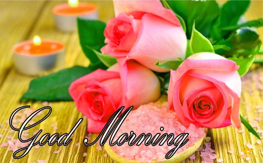 Hình ảnh Good Morning
