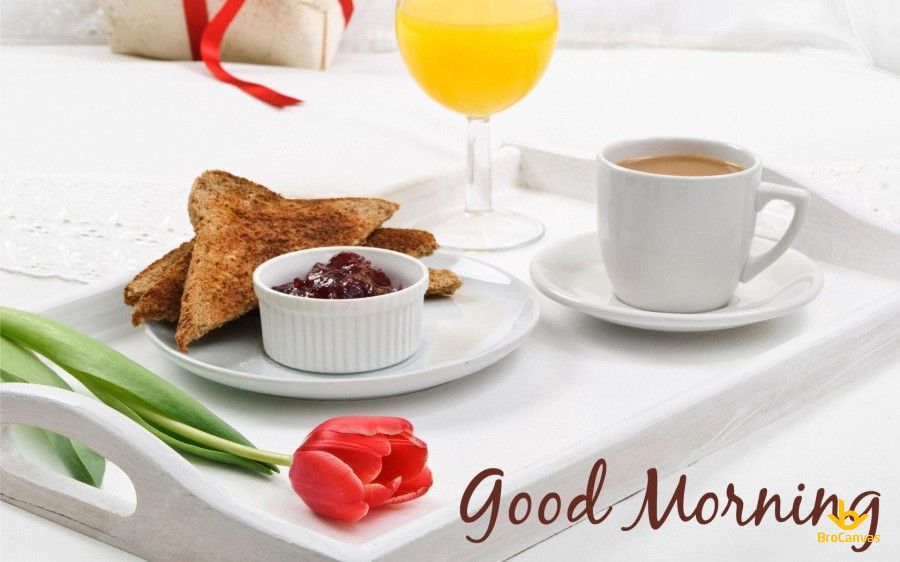 Hình ảnh chào ngày mới cực đẹp và ý nghĩa cho tất cả mọi người