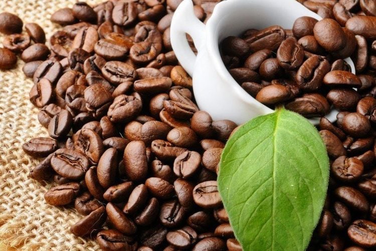 Thắc mắc uống cafe có hại gan không thì bạn nên sử dụng cafe hợp lý và khoa học