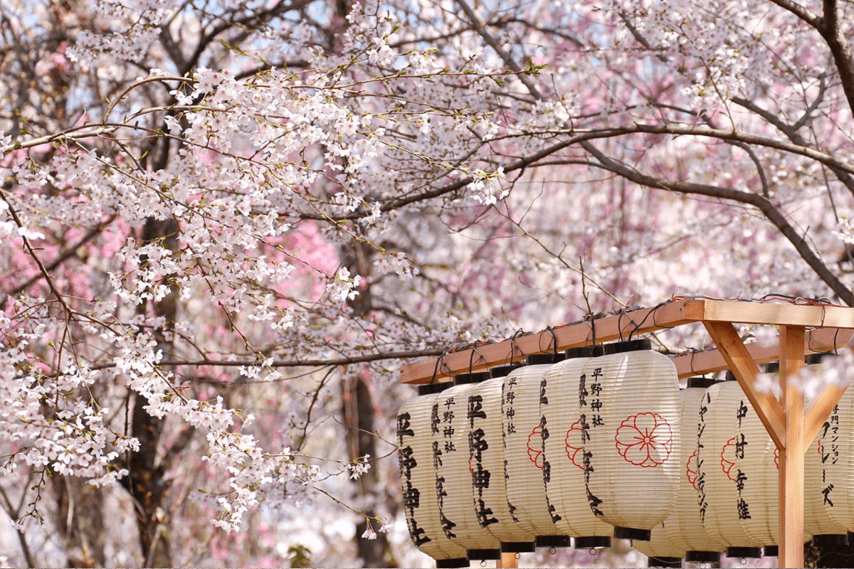 chi-tiet-lich-trinh-tour-6n5d-ha-noi-osaka-tokyo