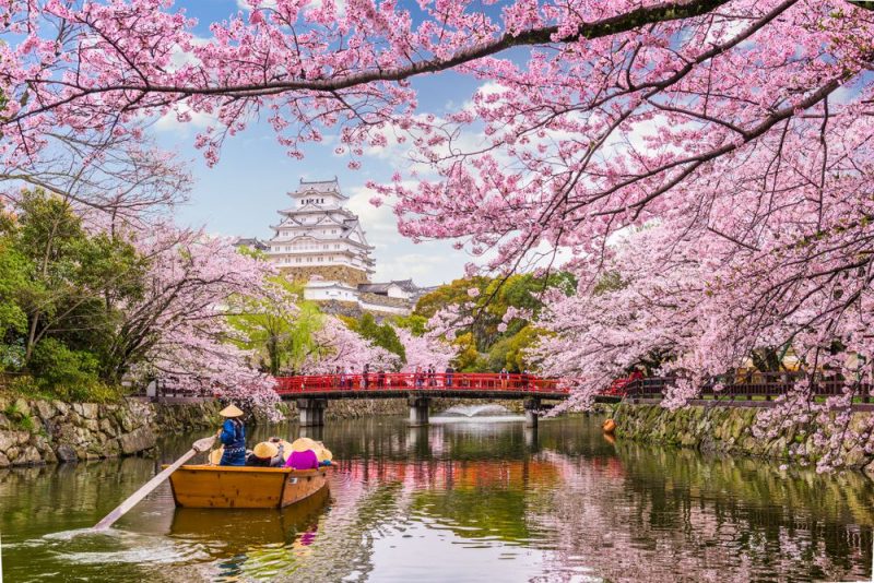 tai-sao-nen-chon-phe-travel-cho-chuyen-di-nay