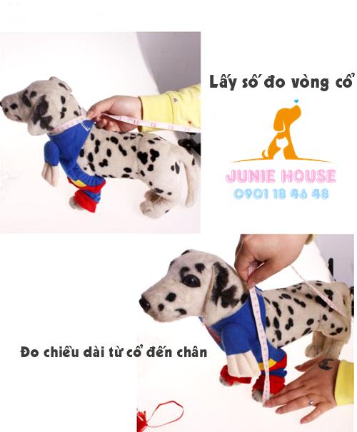 Cách xác định size quần áo cho chó mèo
