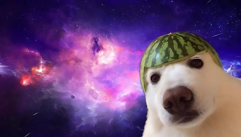 Avatar vô tri nam