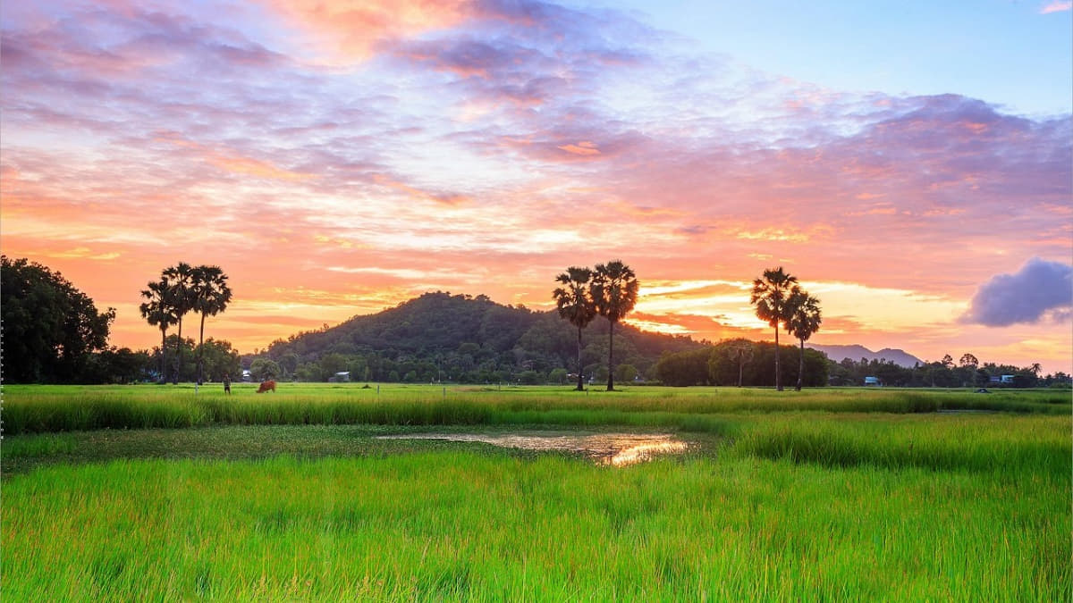 Bài thơ 5 chữ về đất nước, quê hương