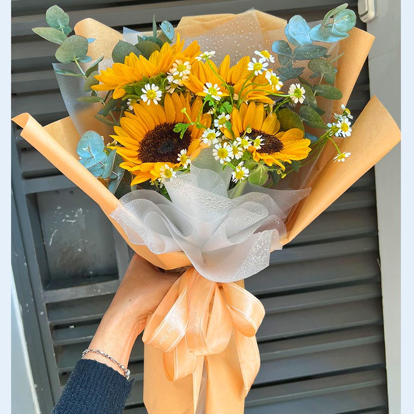 Bó hoa hướng dương