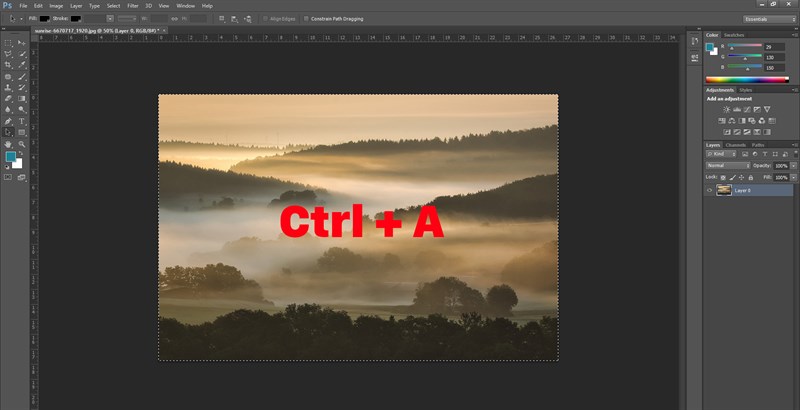 Nhấn tổ hợp phím Ctrl + A để chọn toàn bộ ảnh