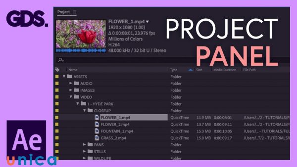 Project panel được sử dụng để quản lý và tổ chức tất cả các tài nguyên trong dự án
