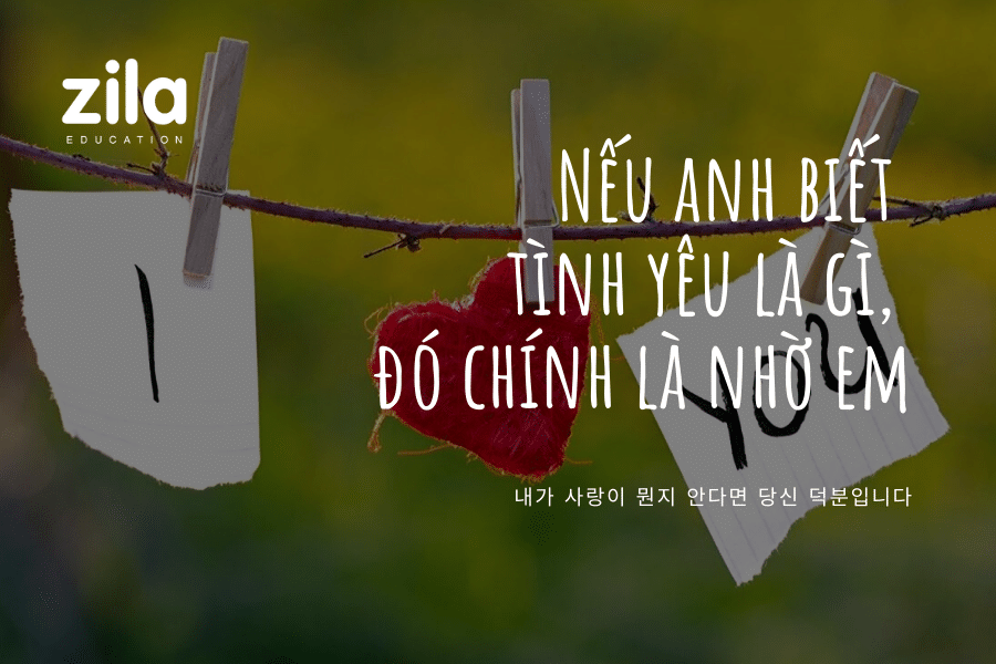 [Tổng hợp] 45+ Những câu nói tiếng Hàn về tình yêu hay nhất