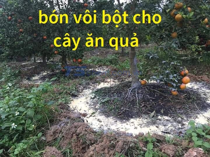 BIỆN PHÁP SƠ CỨU KHI TIẾP XÚC VỚI VÔI TÔI