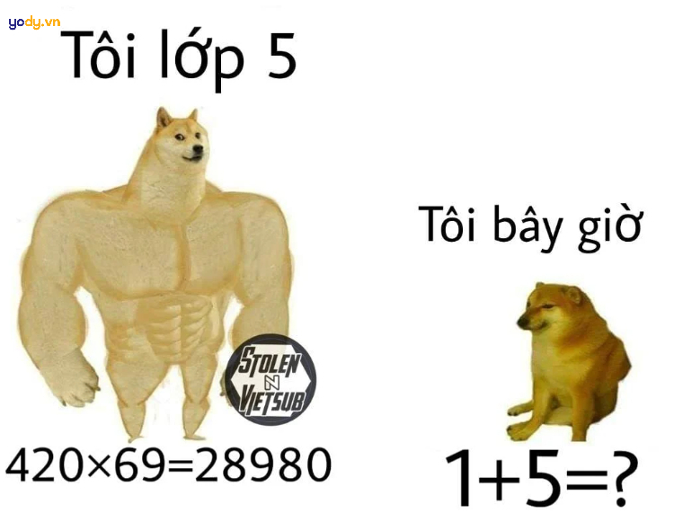 Ảnh meme Cheems học sinh hài hước