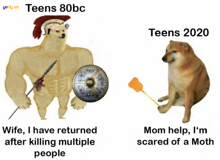 Ảnh meme Cheems troll