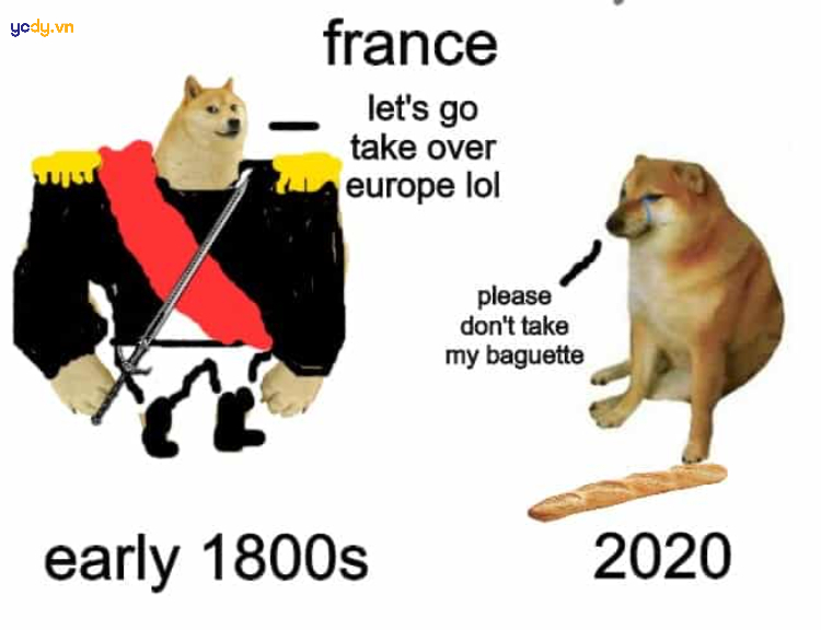 Ảnh meme Doge về nước Pháp