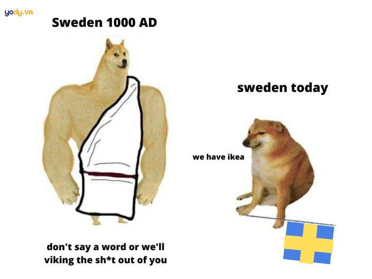 Ảnh meme Doge về nước Thuỵ Điển
