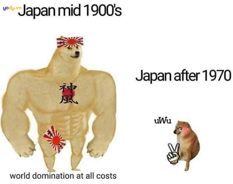 Ảnh meme Doge về nước Nhật Bản
