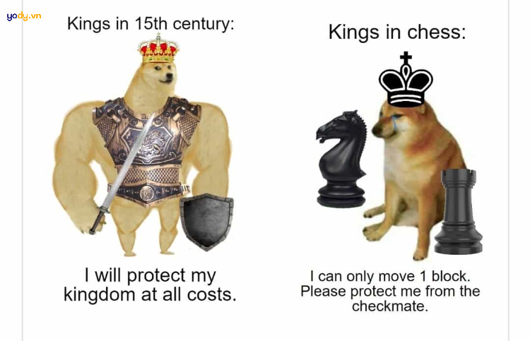 Ảnh meme Doge thú vị