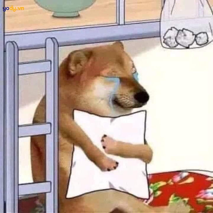 Ảnh Meme Cheems ôm gối