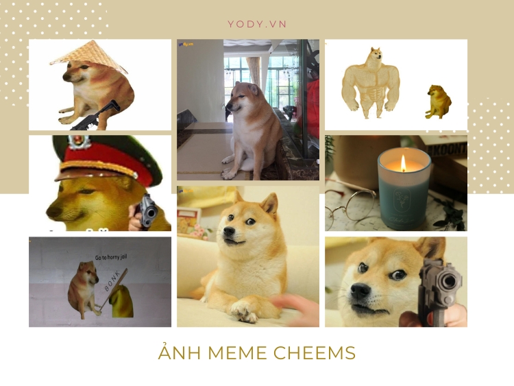 Tuyển tập 50+ ảnh meme cheems hài hước, bá đạo và vui nhộn