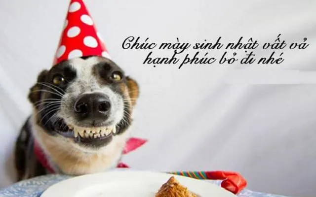Bánh kem sinh nhật meme với biểu cảm "thích thú" cực hài