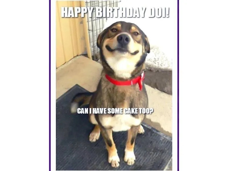 GIF meme sinh nhật hài hước với động tác nhảy múa vui nhộn