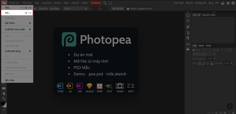 Hướng dẫn cách ghép tóc bằng Photoshop Online chỉ trong 60s