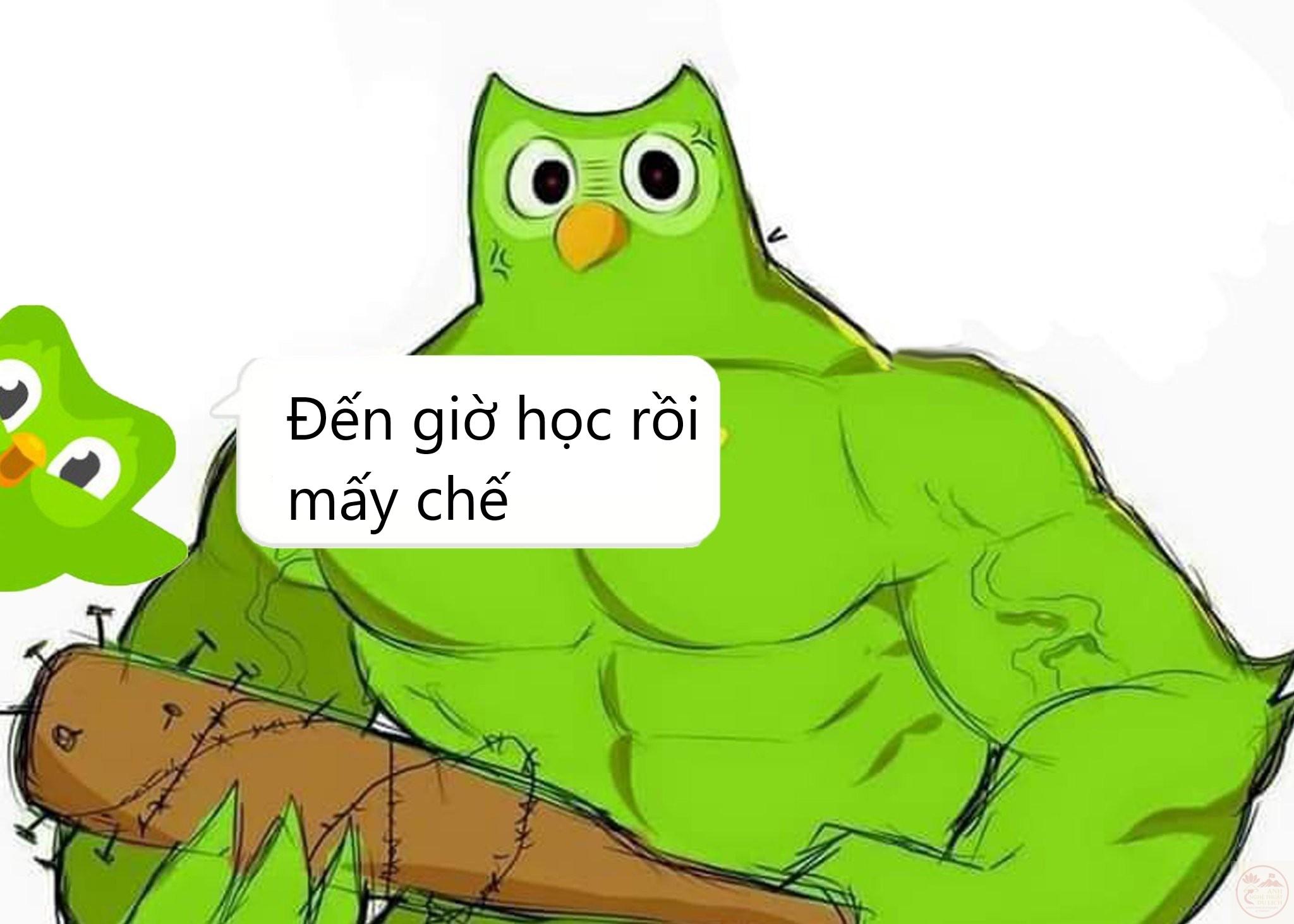 Cười rung rốn với 229+ meme chó cơ bắp chế hài cực gắt