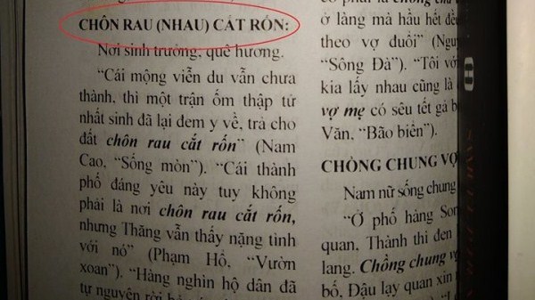 "Chôn rau cắt rốn" hay "chôn nhau cắt rốn"?