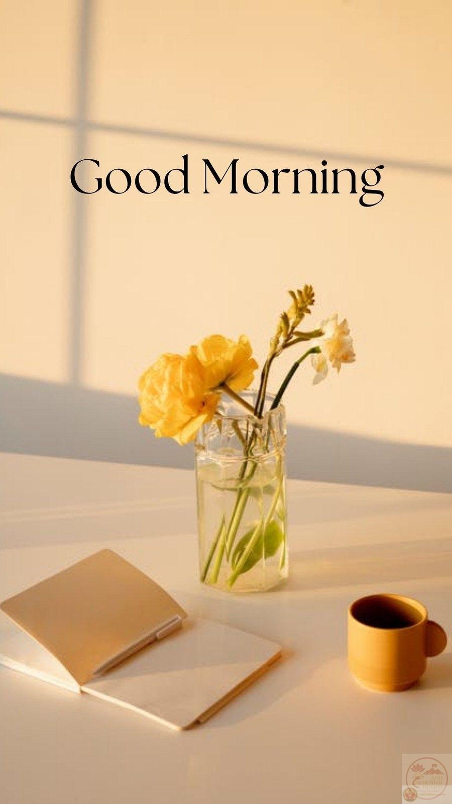 Morning meme lan tỏa năng lượng tích cực khiến người xem bật cười sảng khoái