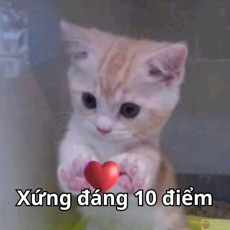Meme mười điểm