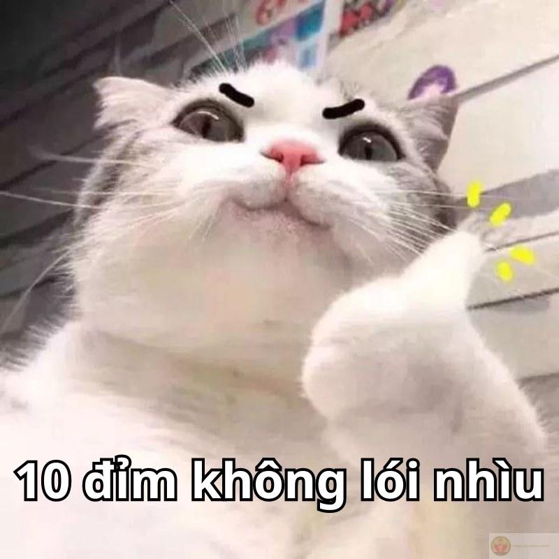 Câu nói viral nhất hôm nay: 10 điểm