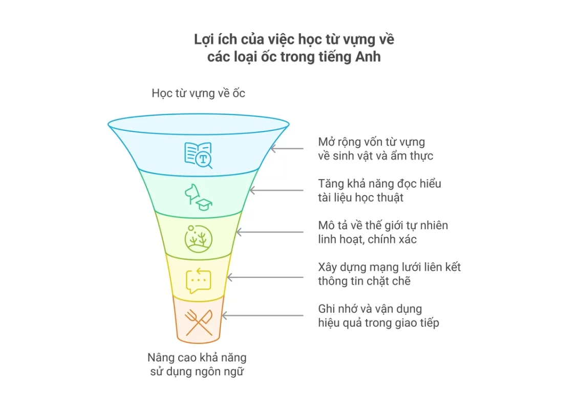 Các loại ốc trong tiếng Anh - Từ vựng, phân loại và bài tập